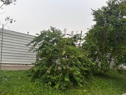 Woodlands Industrial Park E2 (D27), Factory #633275321